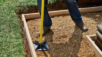 The Best Gravel for Driveways: Top Options Reviewed