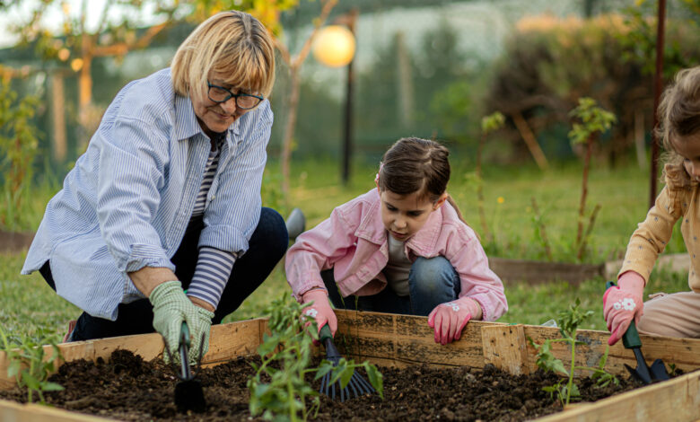 How to Build Durable Raised Garden Beds Without Wood or Metal