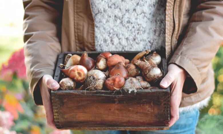 10 Essential Home Maintenance Projects for September