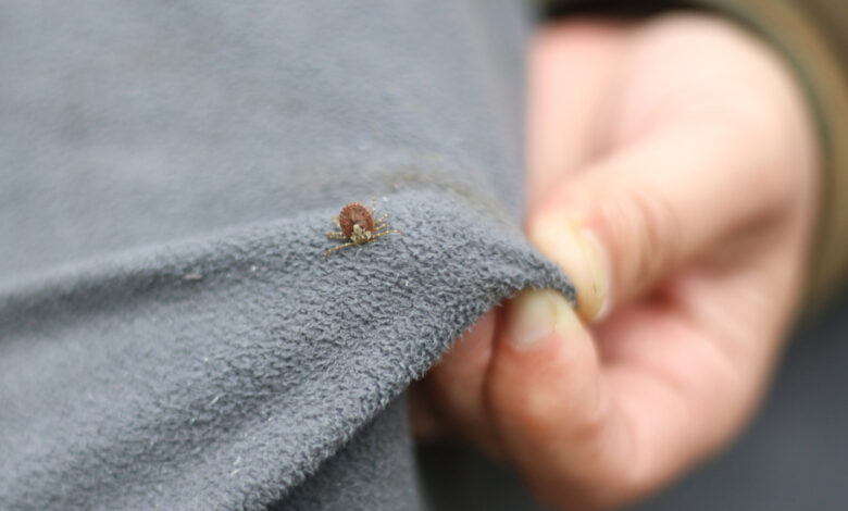 How to Keep Ticks Away Using Effective Liquid Repellents